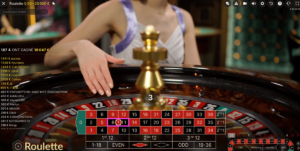 Mise a Cheval a la Roulette mise a cheval a la roulette
