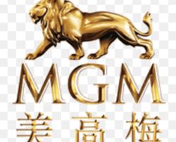 MGM China